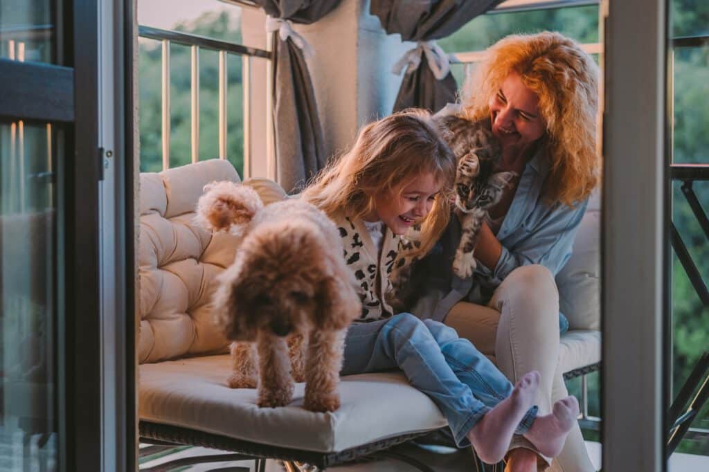 little girl with a smile, fun on a summer, spring vernada at home with mom, cat, dog at sunset